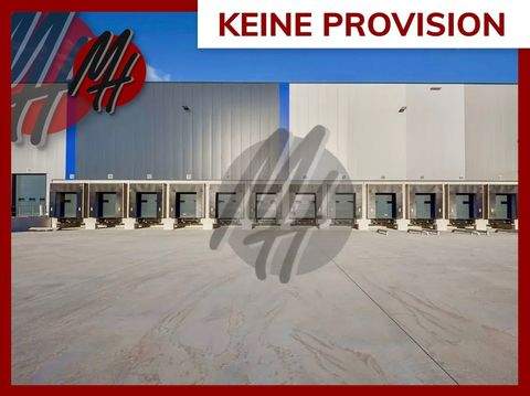 Duisburg Halle, Duisburg Hallenfläche