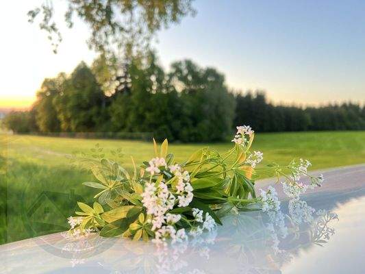 Bitte bei Fragen jederzeit gerne anrufen unter =151 - 55 29 48 72, Frau M. Goerke, dipl.-ing arch.