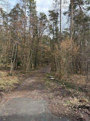 Baugrundstück Röttenbach 007