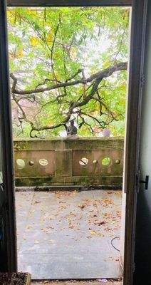 Teilansicht Balkon Obergeschoss (1).jpg