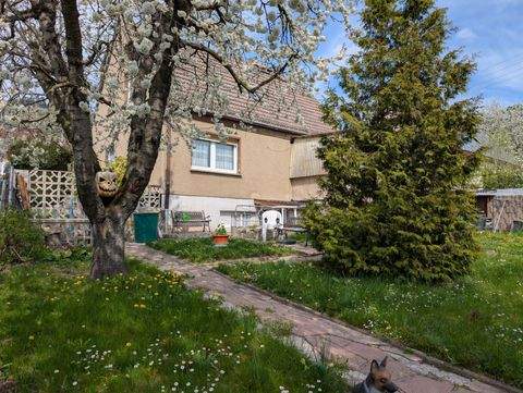 Jena Häuser, Jena Haus kaufen