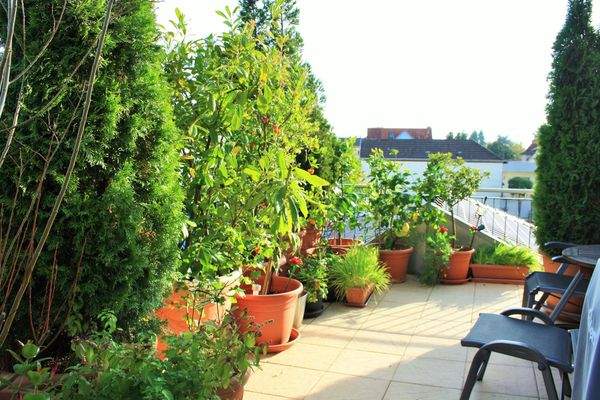 D9759F70-7A27-3C14-BE26-EFBBBBC5473E