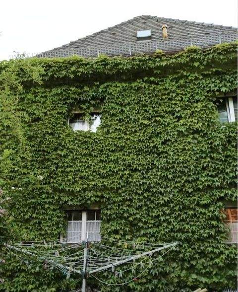 Traunstein Grundstücke, Traunstein Grundstück kaufen