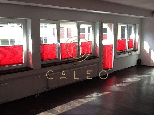 Büro HH Besprechung mit Plissee