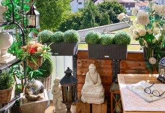 Balkon mit Bergblick