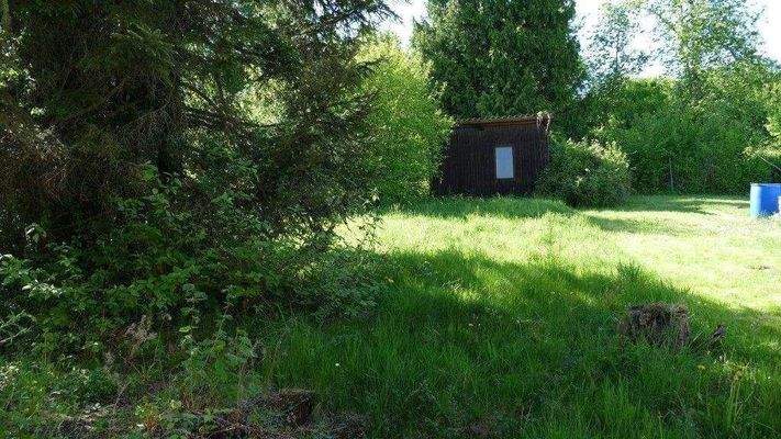 großzügiger Garten