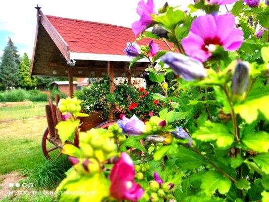 Garten - Teilansicht (4)