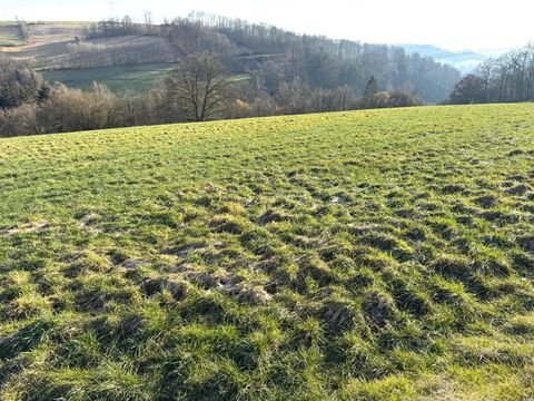 Morsbach Bauernhöfe, Landwirtschaft, Morsbach Forstwirtschaft
