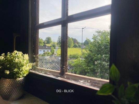 05_DG_TreppeFensterBlick1 Large.jpeg