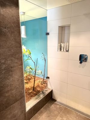 Pflanzenterrarium Duschbad