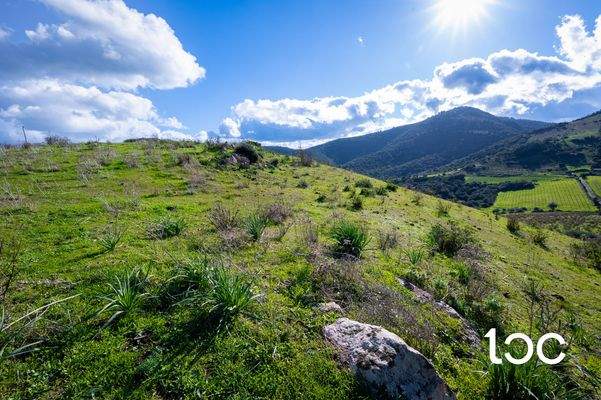 TERR. AGRICOLO-2.jpg