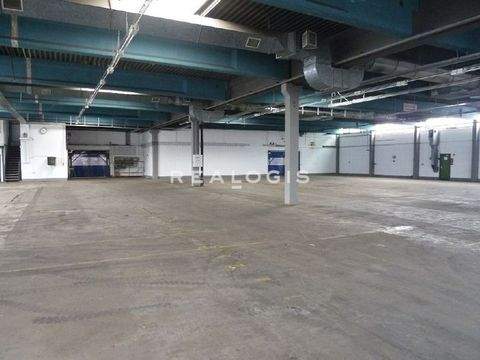 Norderstedt Halle, Norderstedt Hallenfläche