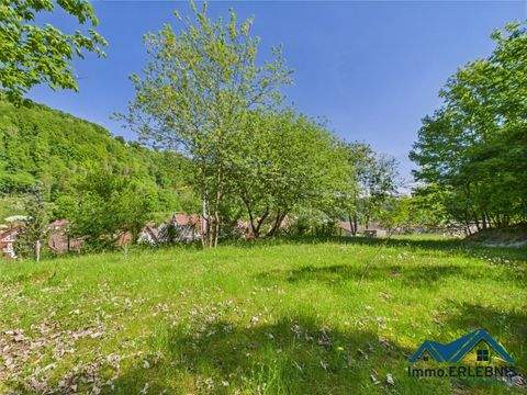 Wiesensteig Grundstücke, Wiesensteig Grundstück kaufen