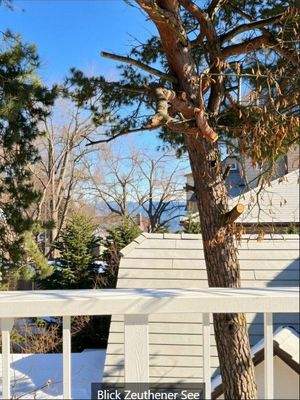 Blick Zeuthener See.jpg