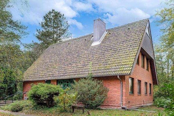 Seitenansicht links 01