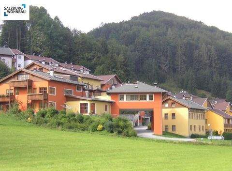 Hof bei Salzburg Wohnungen, Hof bei Salzburg Wohnung kaufen