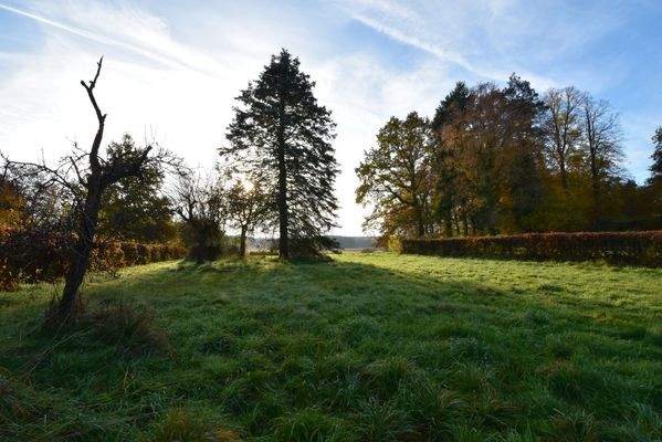 Baugrundstück Südlage.jpg