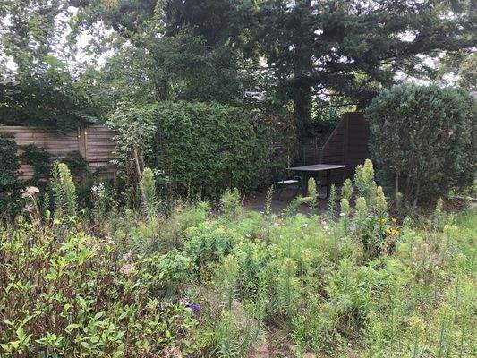 Garten 2.jpg