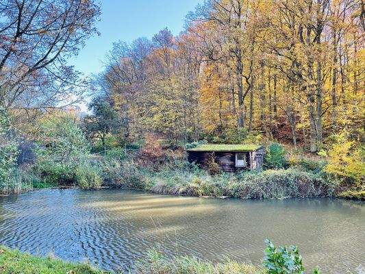 46m² großes Grundstück mit Holzhütte - idyllisch am See gelegen