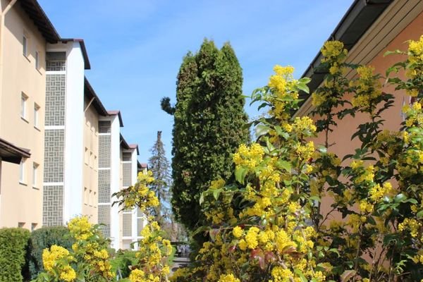 Außen 6
