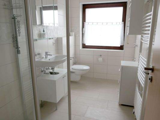 saniertes, helles Duschbad im EG