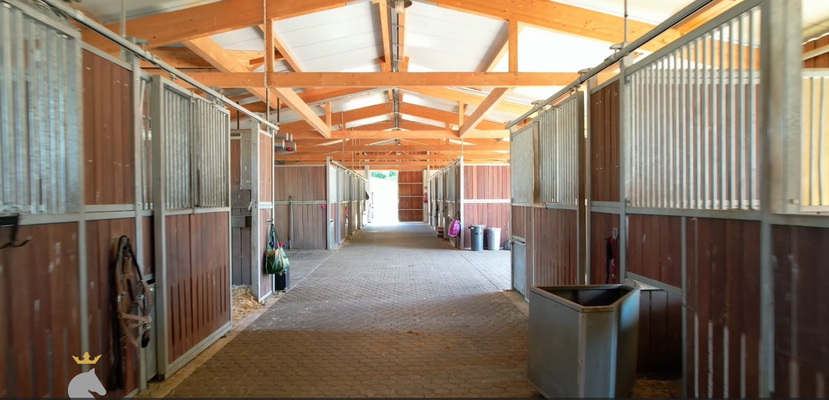 Screenshot 2025-07-15 081319.png