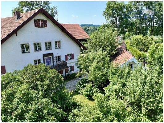 Sehr schön eingewachsener Garten