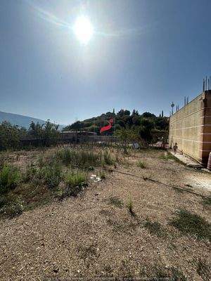 WhatsApp Image 2024-09-06 at 10.30.39.jpeg