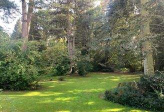 Park ähnlicher Garten