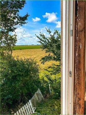 Blick aus dem Fenster