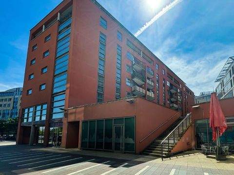 Dresden Ladenlokale, Ladenflächen 