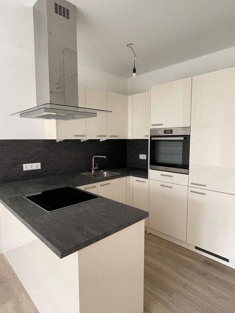 Neumünster Wohnungen, Neumünster Wohnung mieten