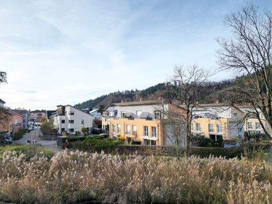 Endhaus angrenzend an die Natur