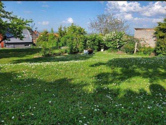 61f8403f-12ee-4a27-aac3-83954d9620a4-1936584331