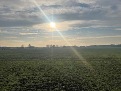 Doberlug-Kirchhain Häuser, Doberlug-Kirchhain Haus kaufen