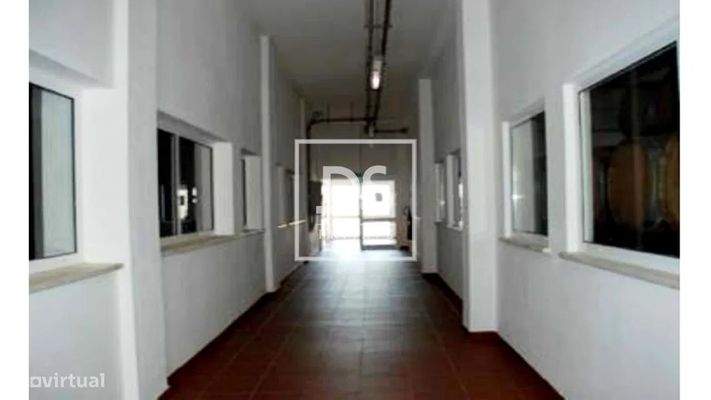 Bild 20