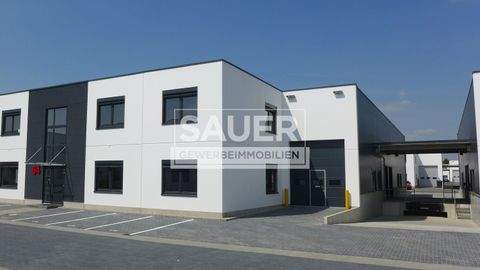 Berlin Halle, Berlin Hallenfläche