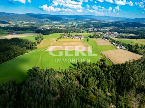 Haselbach Bauernhöfe, Landwirtschaft, Haselbach Forstwirtschaft