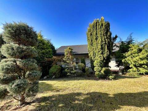 Habichtswald Häuser, Habichtswald Haus kaufen