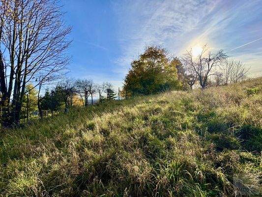 Weitläufiges Grundstück