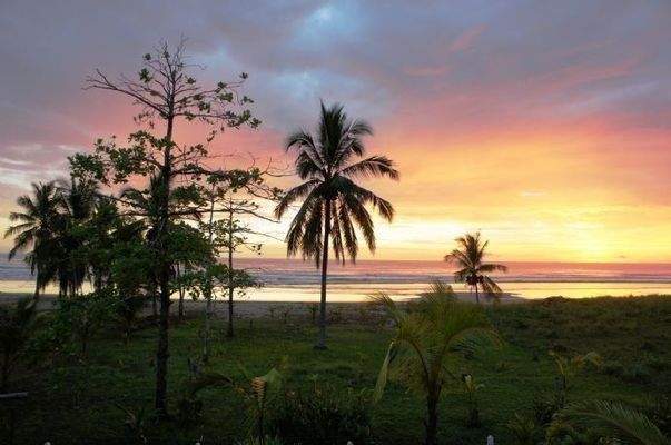 ImmoScout360 Sonnenuntergang Costa Rica Coyote
