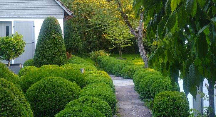 organischer Designgarten mit altem Baumbestand