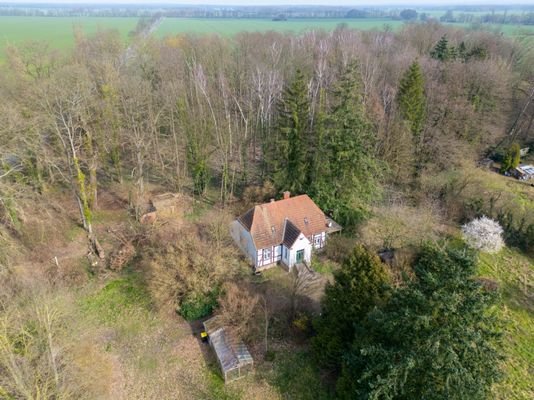 DJI_0215