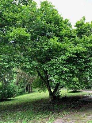 Ihr persönlicher Park