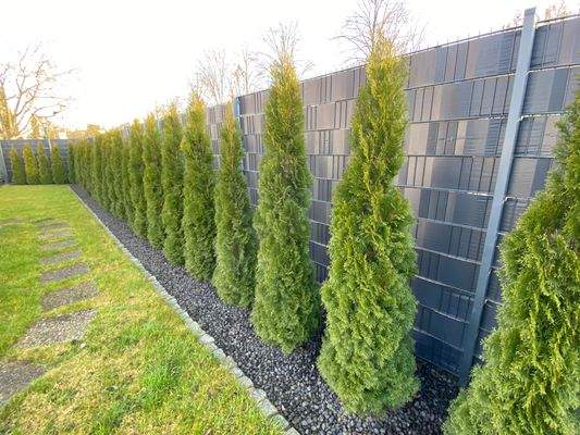 Sichtschutz & Tujahecke mit Bewässerungssystem 