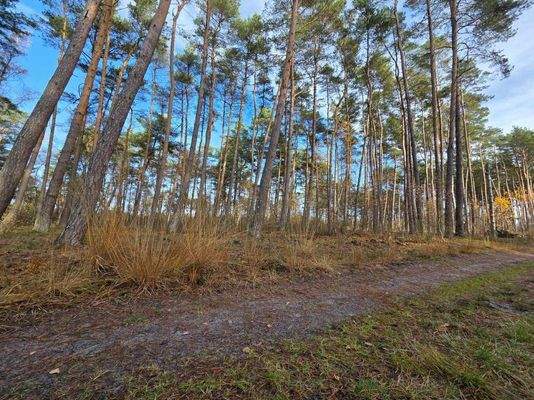 9_581900495_1865893457389260_2672138380213349030_n