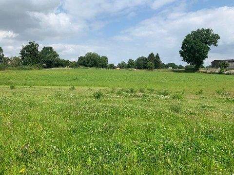 Tegau Häuser, Tegau Haus kaufen