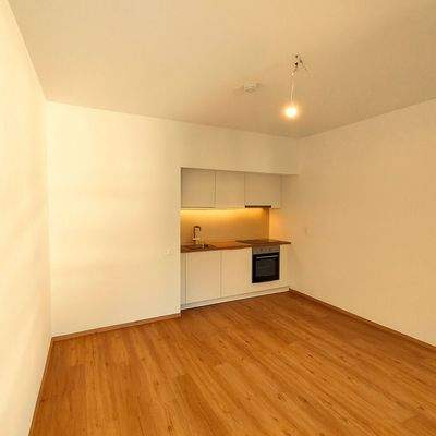 Wohnbereich mit Küchennische