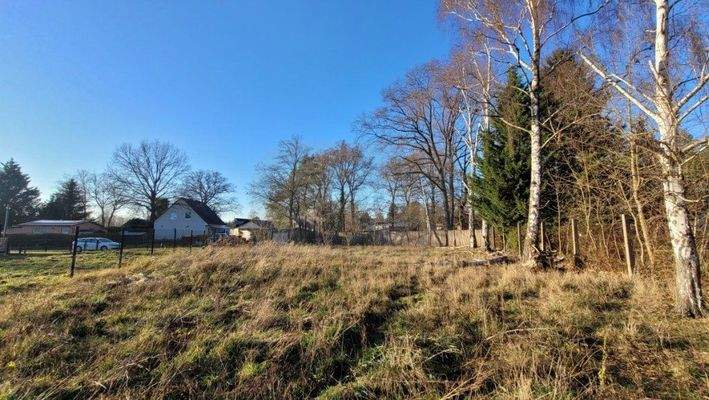 Baugrundstück - Blick zur Straße