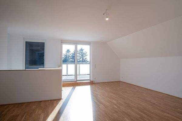 Bild 42
